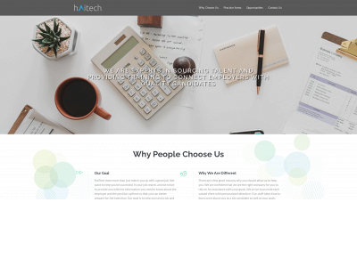 haitechconsulting.com snapshot