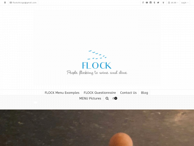 flockchicago.com snapshot