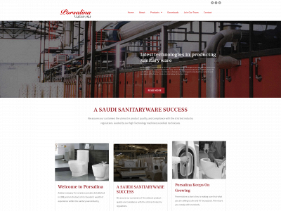 porsalina.com.sa snapshot