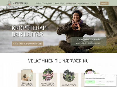 ninazahle.dk snapshot