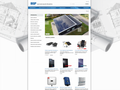 bsp.lt snapshot