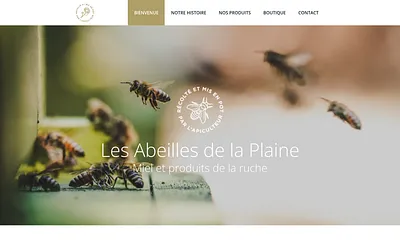 lesabeillesdelaplaine.fr snapshot