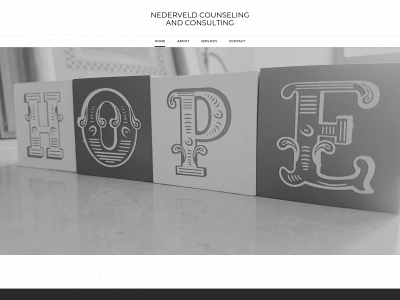 nederveldcounseling.com snapshot