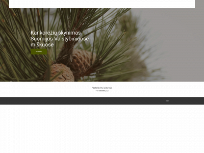 laplandcones.fi snapshot