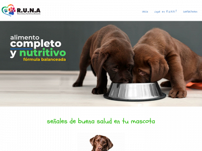 runapetproducts.com snapshot