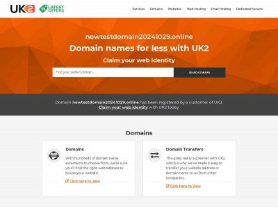 newtestdomain20241029.online snapshot