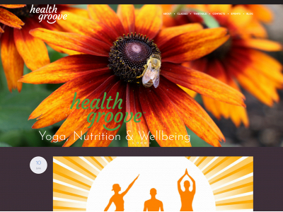 healthgroove.co.nz snapshot