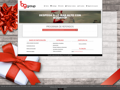 bg-group.es snapshot