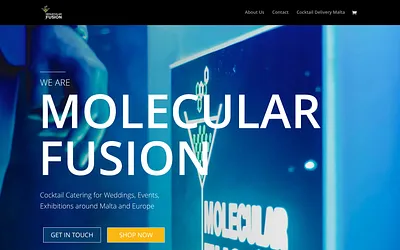 molecularfusion.com snapshot