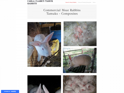 www.tamuks.com snapshot
