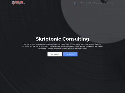 www.skriptonicconsulting.com snapshot