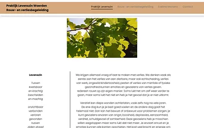 praktijklevenszin.nl snapshot