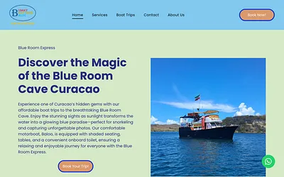 blueroomexpress.com snapshot