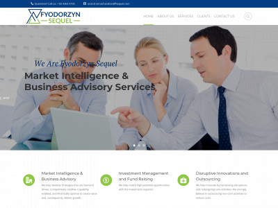 fyodorzynsequel.com snapshot