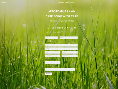 littlegreenslawncare.weebly.com snapshot
