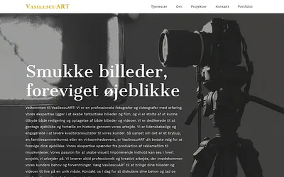 vasilescuart.dk snapshot