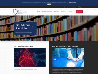 bcs.com snapshot
