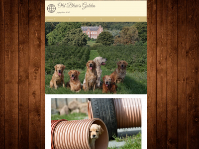 jagtgoldens-dk.dk snapshot