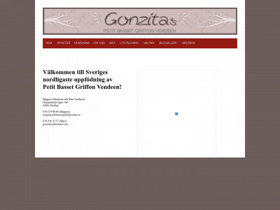 gonzitas.se snapshot