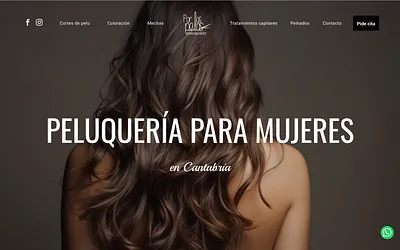 porlospelospeluqueria.es snapshot