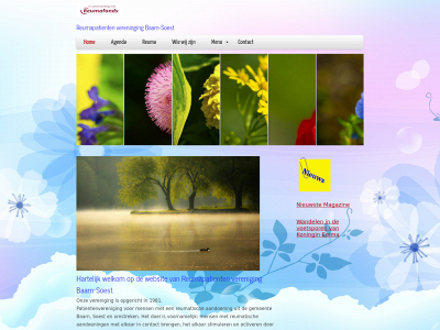 rpvbaarnsoest.nl snapshot