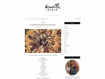 breimebakar.se snapshot