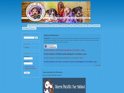 wil4u.com snapshot
