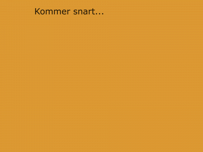 simonochregina.se snapshot