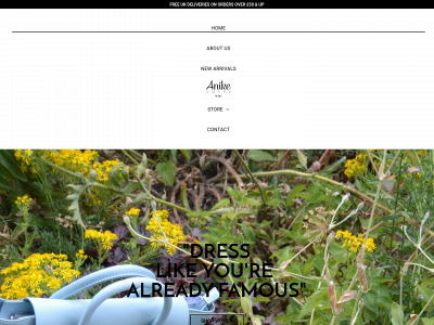 anikeamure.com snapshot