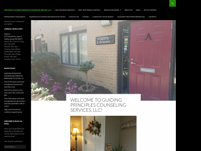 guidingprinciplesllc.com snapshot