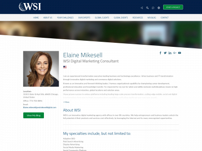 wsimikeselldigital.com snapshot