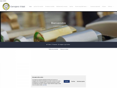 cerrajerovidal.es snapshot