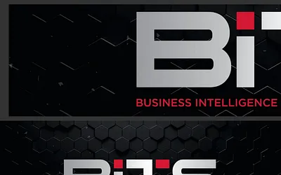 thebitssolution.com snapshot