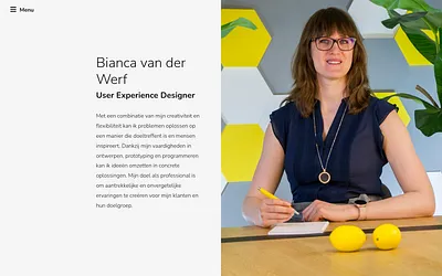 bvanderwerf.nl snapshot