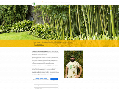 professionalbamboolandscapers.com snapshot
