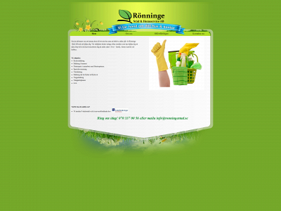 ronningestad.se snapshot