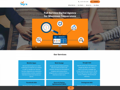 tegradesign.com snapshot