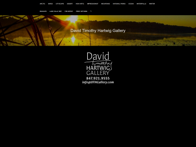 dthgallery.com snapshot