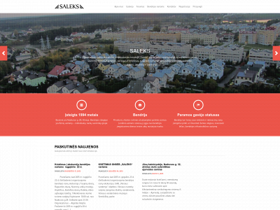 saleks.lt snapshot
