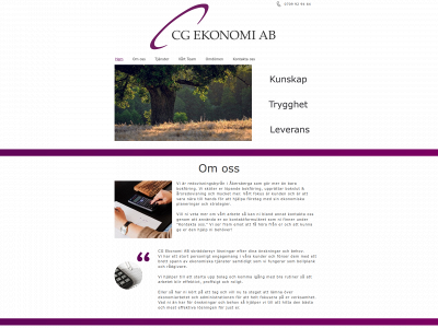 cgekonomi.se snapshot