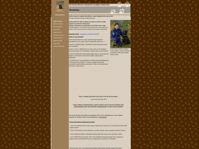 brufinn.fi snapshot