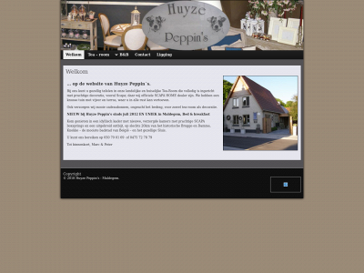 huyzepeppins.be snapshot
