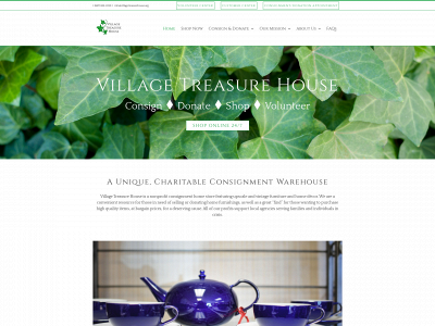 villagetreasurehouse.org snapshot