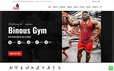 binousgym.com snapshot
