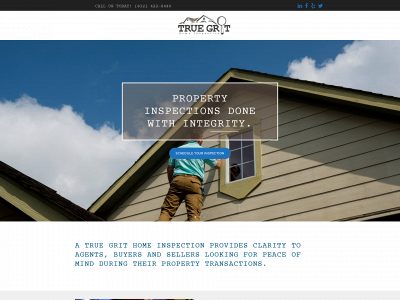 truegrithandyman.com snapshot