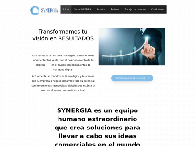 synergiamkt.com snapshot
