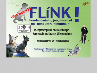 hondentrainingflink.nl snapshot