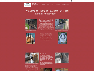 fluffandfeatherspethotel.co.uk snapshot