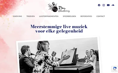 blueberrymusic.be snapshot