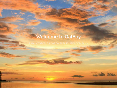 galbayusa.com snapshot